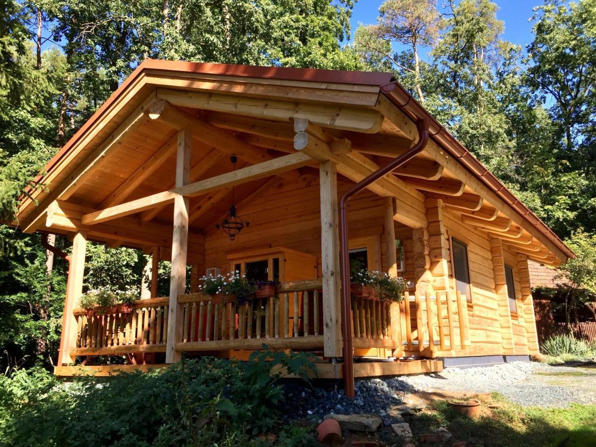 Blockhaus Chalet Mit Beheizbarem Badefass Und Infrarotsauna Auf Der Terrasse Oberschützen Extérieur photo