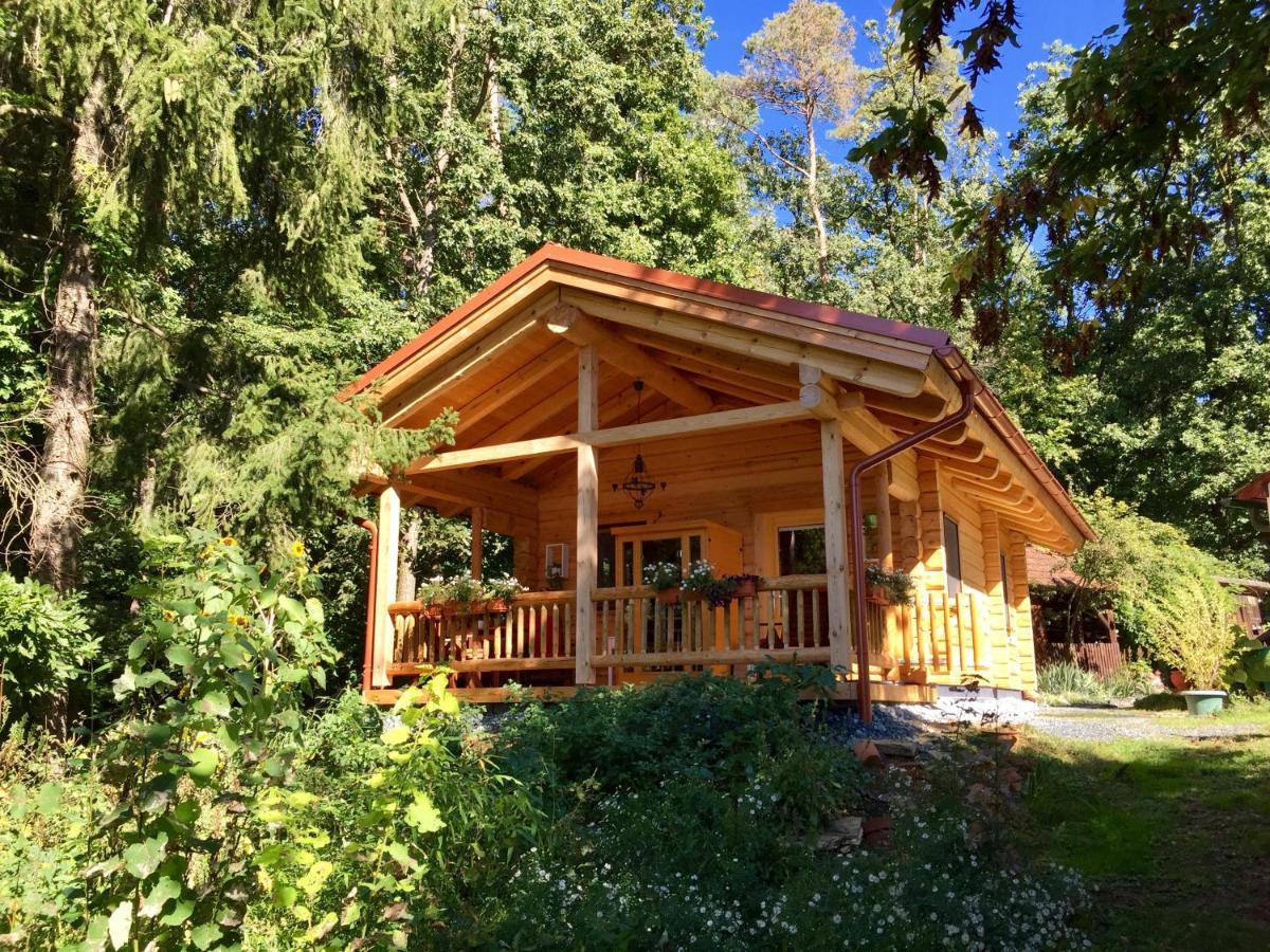 Blockhaus Chalet Mit Beheizbarem Badefass Und Infrarotsauna Auf Der Terrasse Oberschützen Extérieur photo